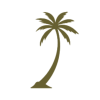 The Bachata Retreat